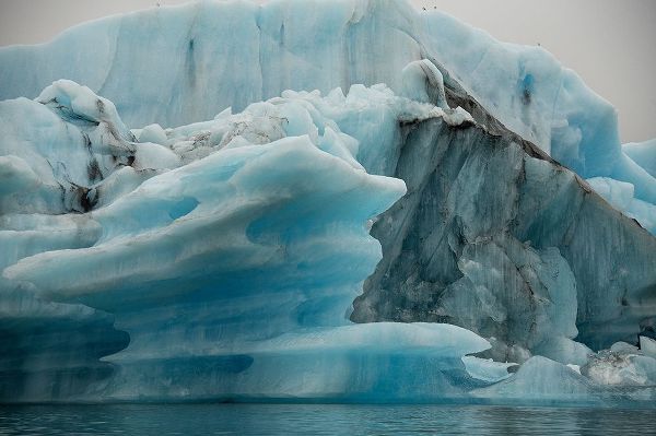 Icebergs from the Jokulsarlon glacier drift in Jokulsarlon lagoon in Iceland